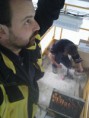 /album/foto-z-instalaci-/fotografie1172-jpg/